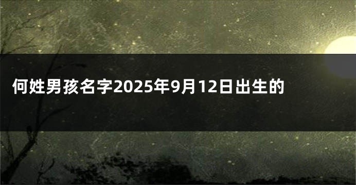 何姓男孩名字2025年9月12日出生的