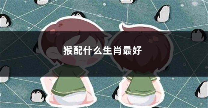 猴配什么生肖最好