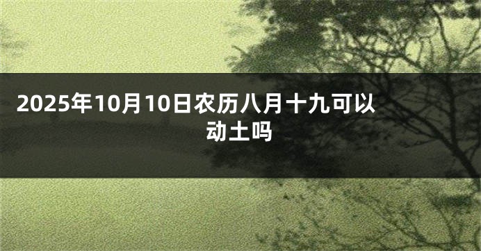 2025年10月10日农历八月十九可以动土吗