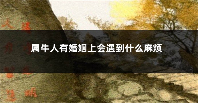 属牛人有婚姻上会遇到什么麻烦