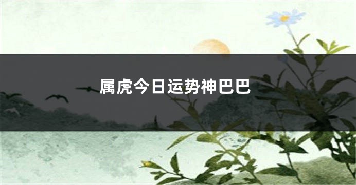 属虎今日运势神巴巴