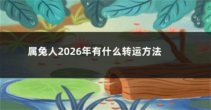 属兔人2026年有什么转运方法