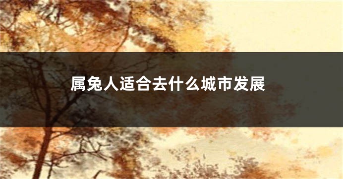 属兔人适合去什么城市发展