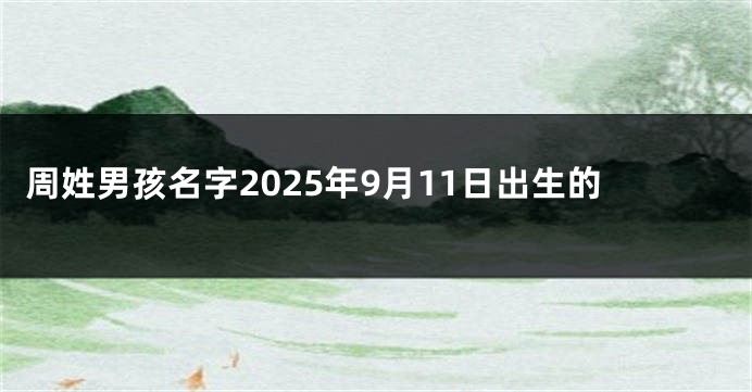 周姓男孩名字2025年9月11日出生的