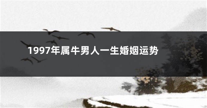 1997年属牛男人一生婚姻运势