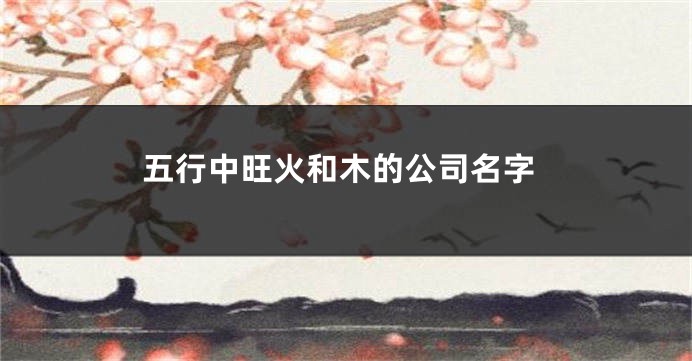五行中旺火和木的公司名字