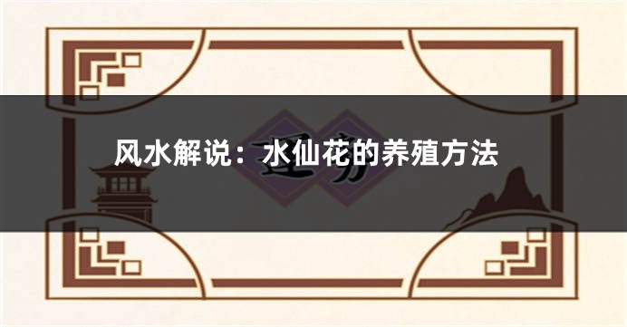 风水解说：水仙花的养殖方法