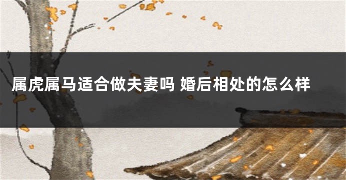 属虎属马适合做夫妻吗 婚后相处的怎么样