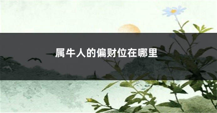 属牛人的偏财位在哪里