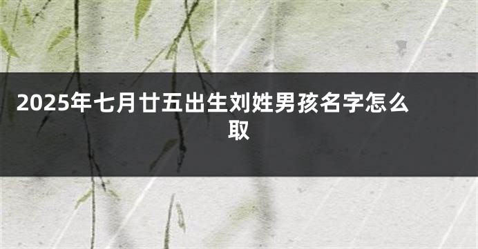 2025年七月廿五出生刘姓男孩名字怎么取