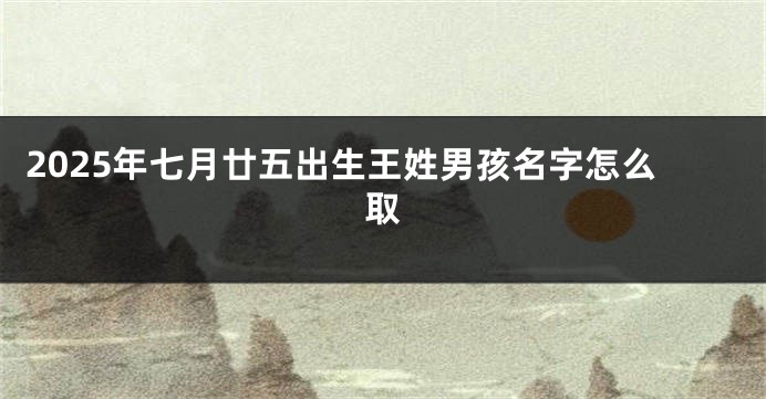 2025年七月廿五出生王姓男孩名字怎么取
