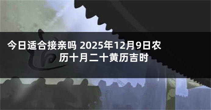 今日适合接亲吗 2025年12月9日农历十月二十黄历吉时