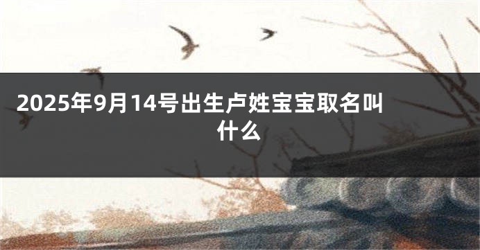 2025年9月14号出生卢姓宝宝取名叫什么