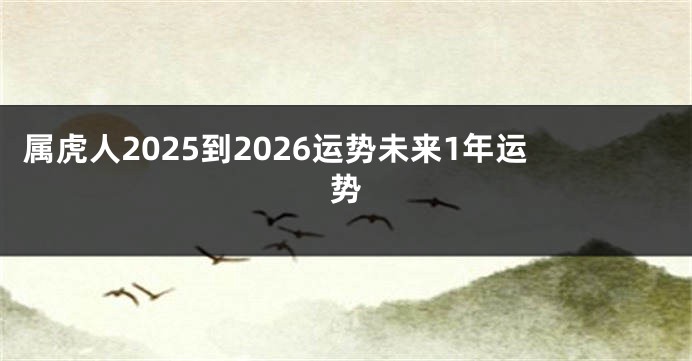 属虎人2025到2026运势未来1年运势