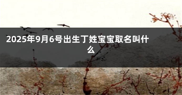 2025年9月6号出生丁姓宝宝取名叫什么
