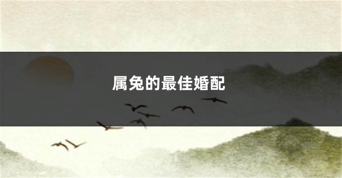属兔的最佳婚配