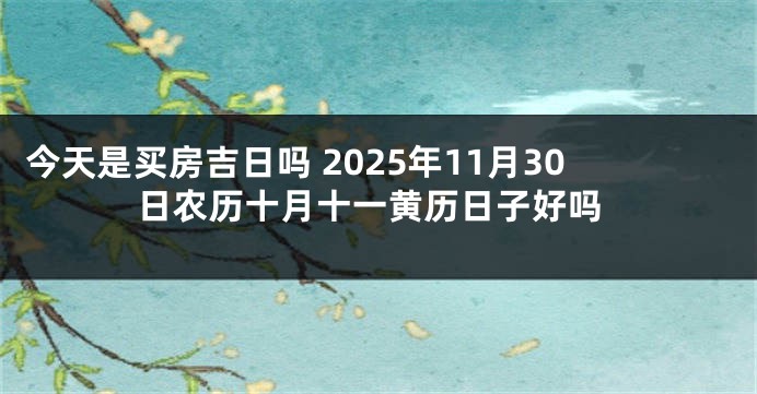 今天是买房吉日吗 2025年11月30日农历十月十一黄历日子好吗