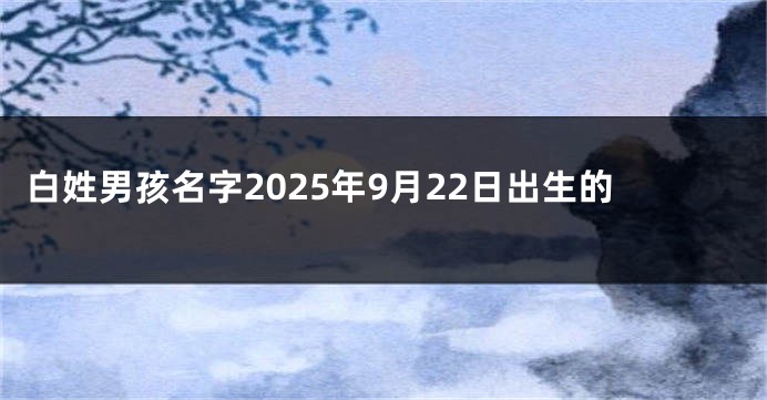 白姓男孩名字2025年9月22日出生的