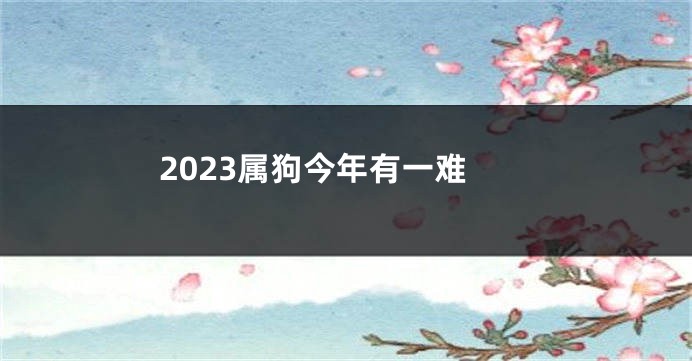 2023属狗今年有一难