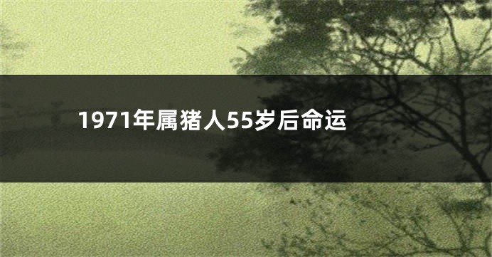 1971年属猪人55岁后命运
