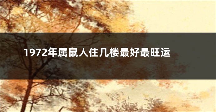 1972年属鼠人住几楼最好最旺运
