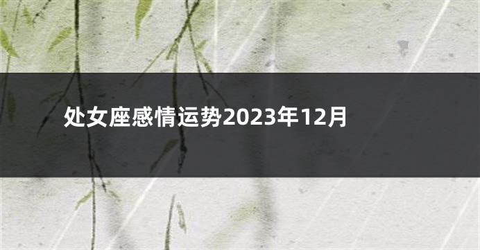 处女座感情运势2023年12月