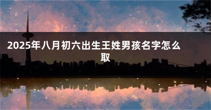2025年八月初六出生王姓男孩名字怎么取