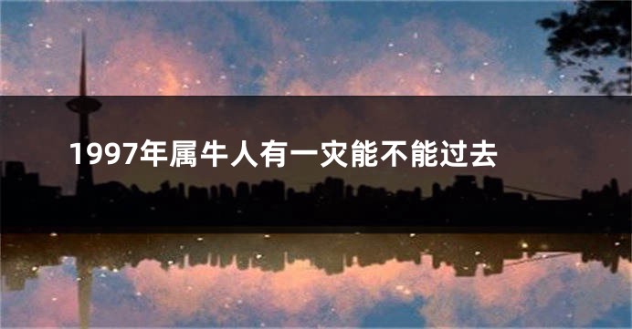 1997年属牛人有一灾能不能过去