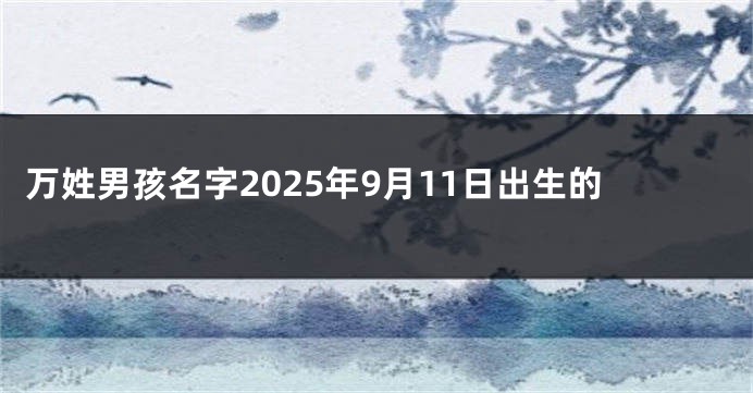 万姓男孩名字2025年9月11日出生的