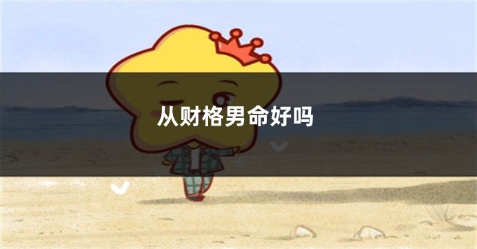 从财格男命好吗