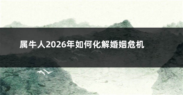 属牛人2026年如何化解婚姻危机