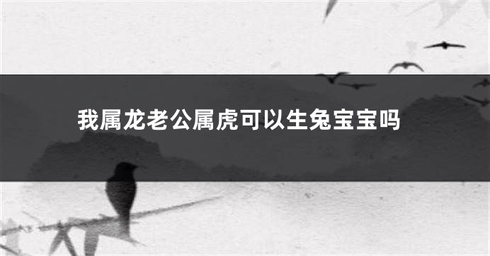 我属龙老公属虎可以生兔宝宝吗