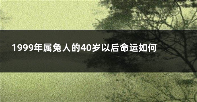 1999年属兔人的40岁以后命运如何