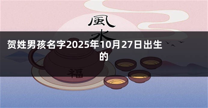 贺姓男孩名字2025年10月27日出生的