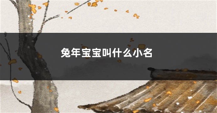 兔年宝宝叫什么小名