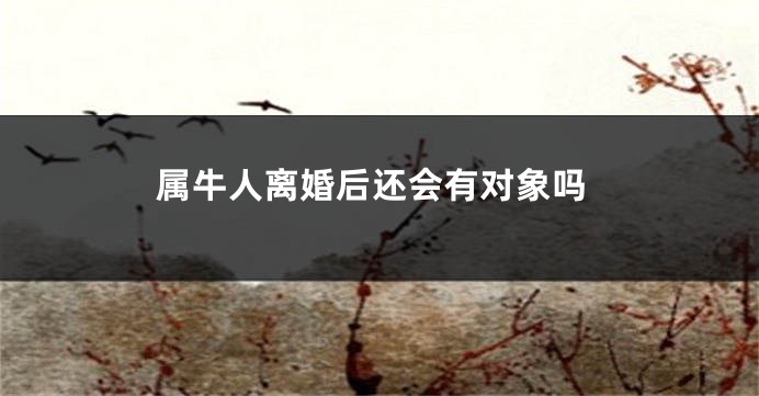 属牛人离婚后还会有对象吗