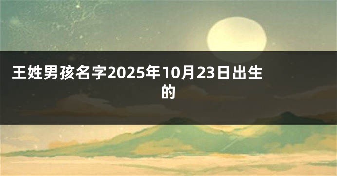 王姓男孩名字2025年10月23日出生的