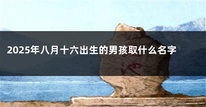 2025年八月十六出生的男孩取什么名字