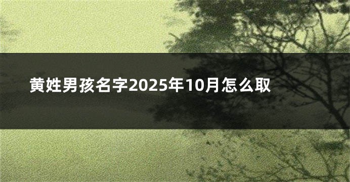 黄姓男孩名字2025年10月怎么取