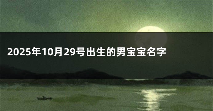 2025年10月29号出生的男宝宝名字