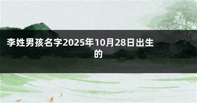李姓男孩名字2025年10月28日出生的