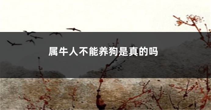 属牛人不能养狗是真的吗
