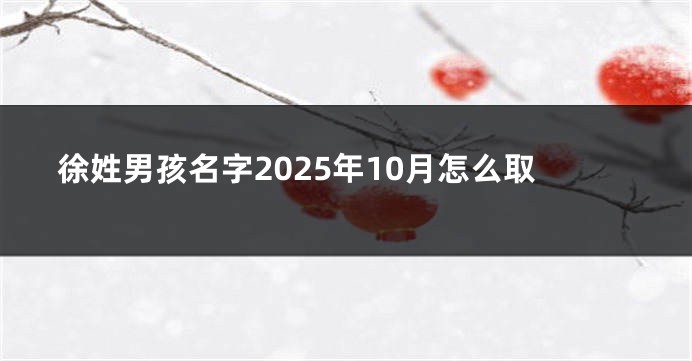徐姓男孩名字2025年10月怎么取