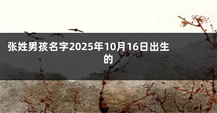 张姓男孩名字2025年10月16日出生的