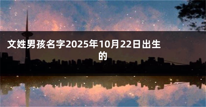文姓男孩名字2025年10月22日出生的