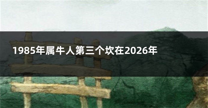 1985年属牛人第三个坎在2026年