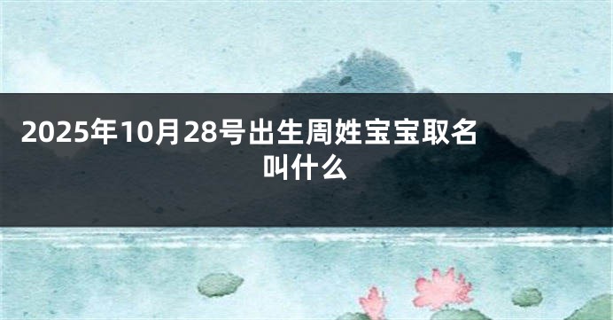 2025年10月28号出生周姓宝宝取名叫什么