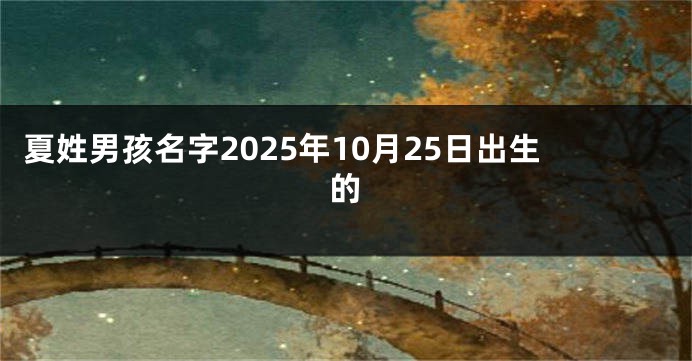 夏姓男孩名字2025年10月25日出生的