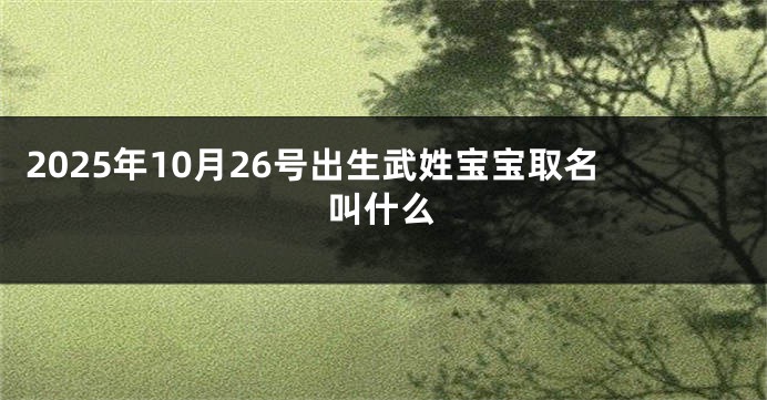 2025年10月26号出生武姓宝宝取名叫什么