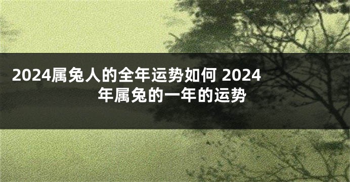 2024属兔人的全年运势如何 2024年属兔的一年的运势